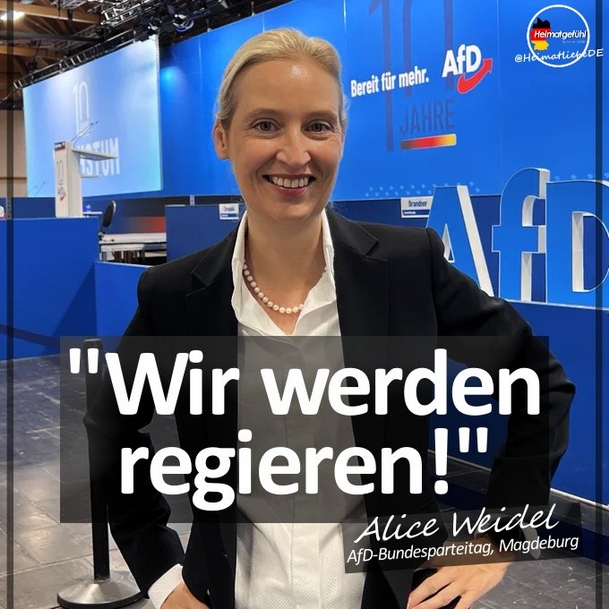 AfDwirWerdenRegieren