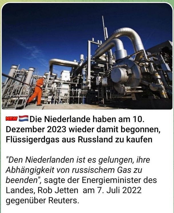 Bild1 - Niederlande ist schlau